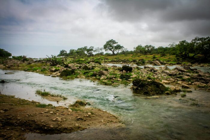 Why Salalah Is the Middle East’s Best-Kept Monsoon Travel Secret