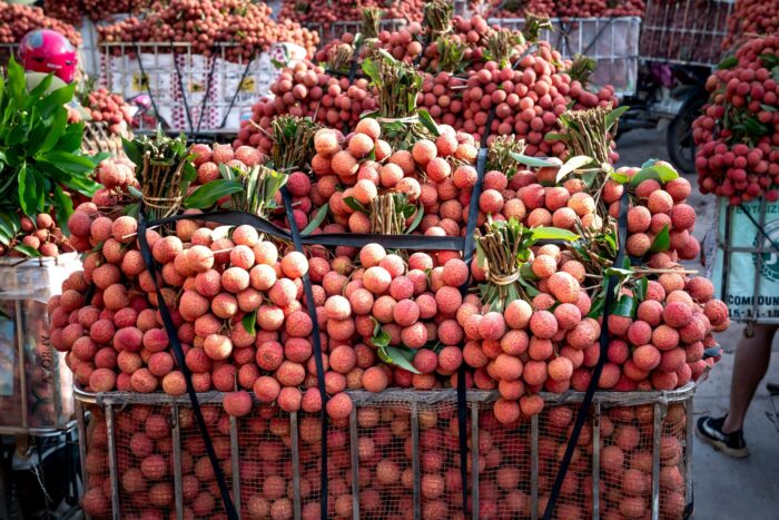 Litchi Season in India: