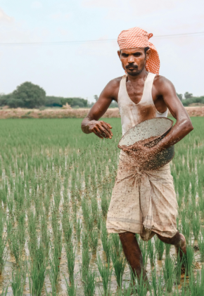 FARMER