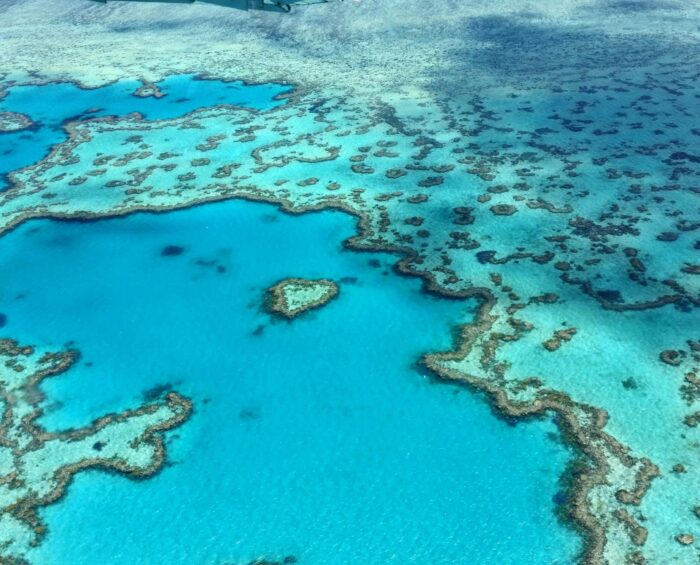 Surfing and Diving Adventures at the Great Barrier Reef