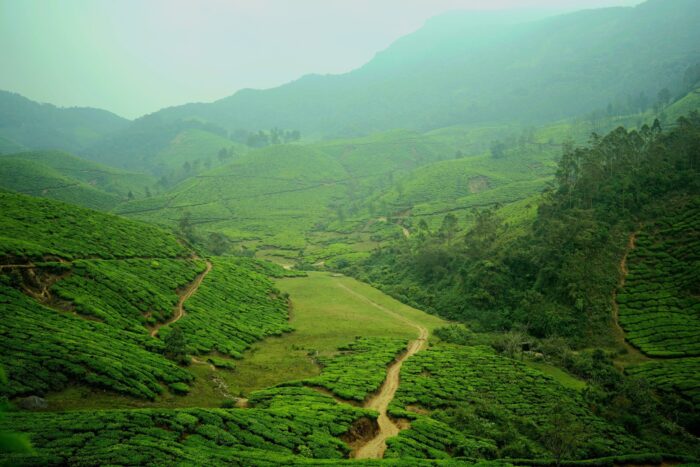 10 Breathtaking Indian Destinations to Explore During the Rains