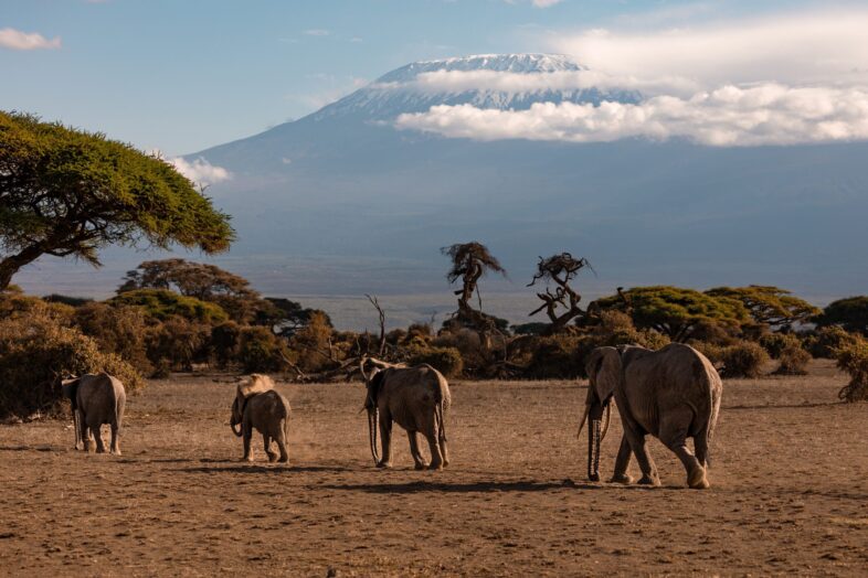 Is Kilimanjaro on Your Travel Wishlist